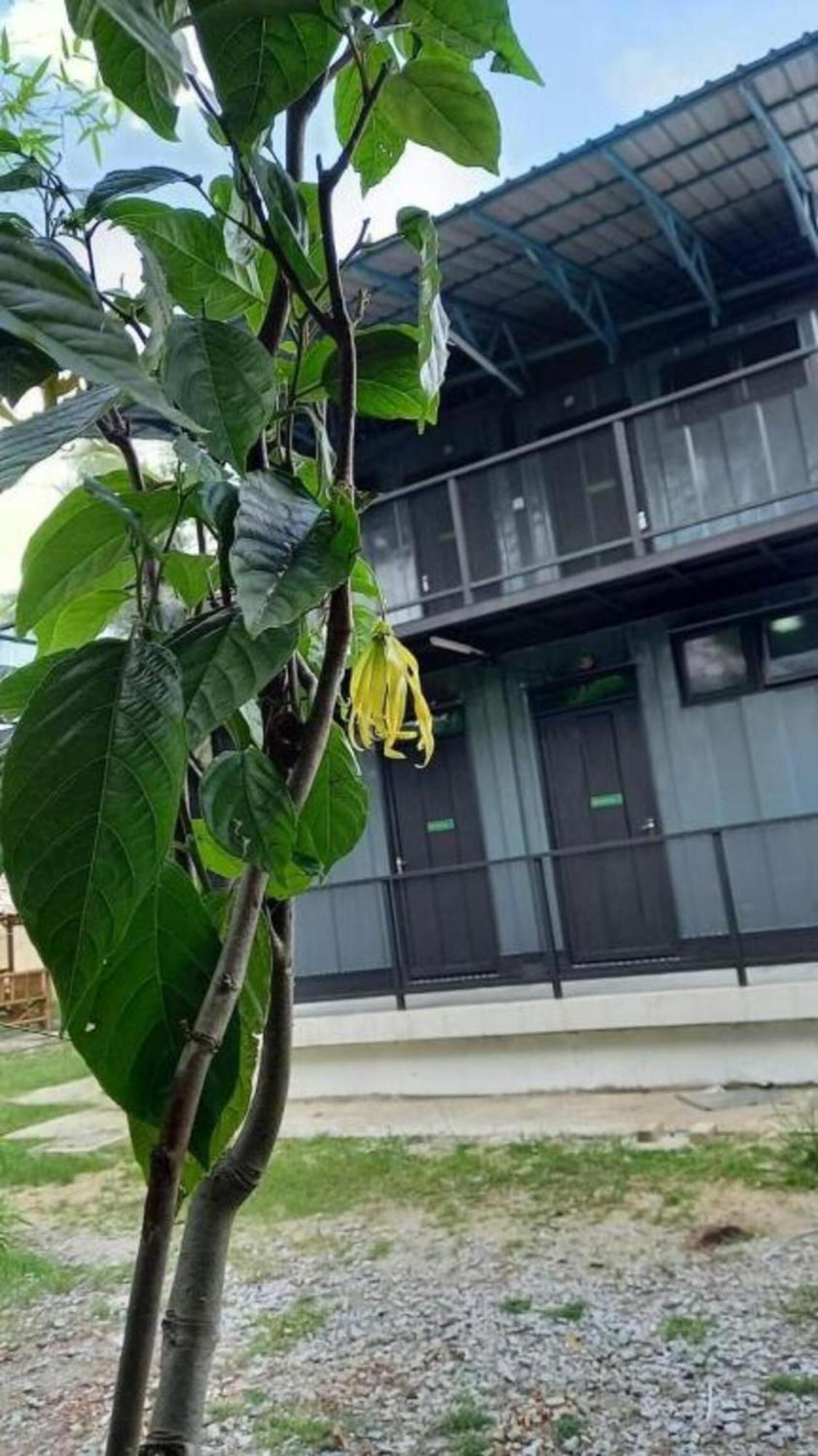 Cerana Villa Eco Resort Kota Bharu Bagian luar foto
